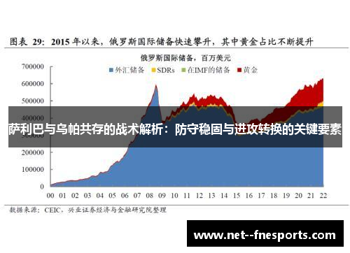 萨利巴与乌帕共存的战术解析：防守稳固与进攻转换的关键要素