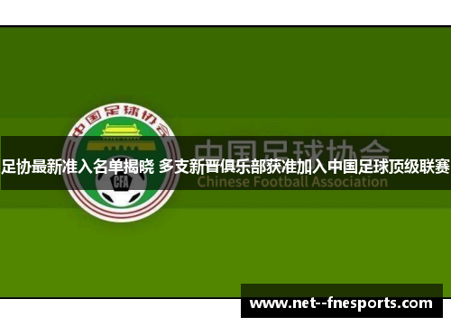 足协最新准入名单揭晓 多支新晋俱乐部获准加入中国足球顶级联赛